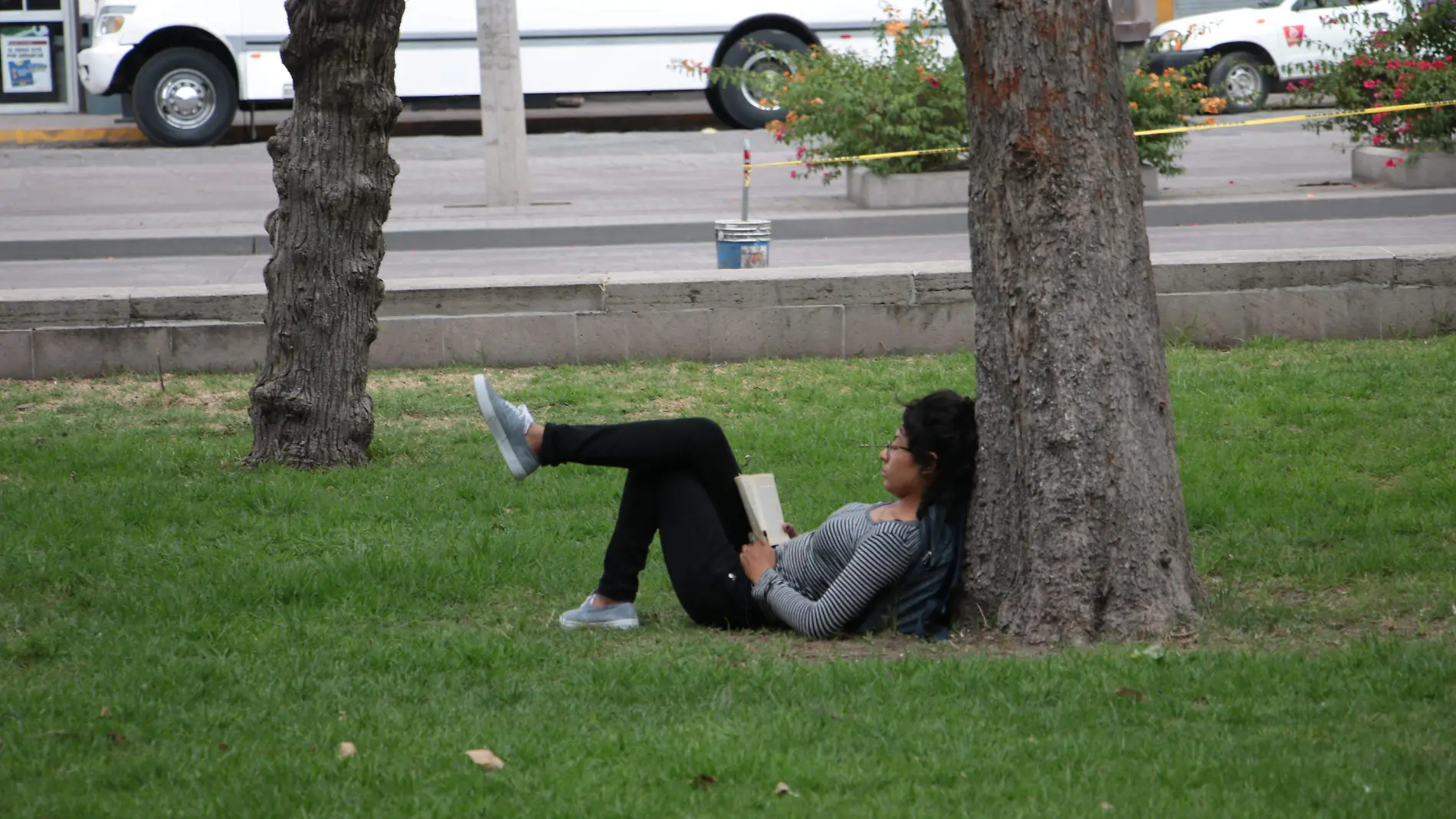 JOVEN LEYENDO EN ALAMEDA